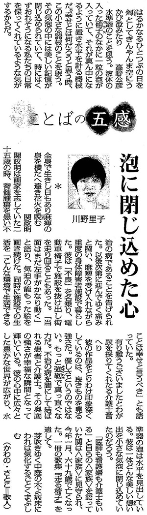 毎日新聞2018年11月5日掲載