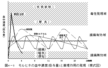 アンペック 坐薬